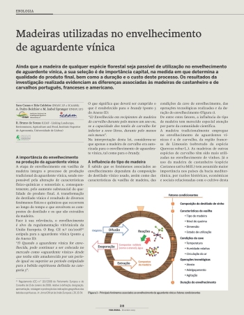Madeiras utilizadas no envelhecimento de aguardente vínica Imagem 1