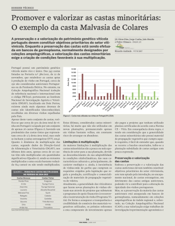 Promover e valorizar as castas minoritárias: O exemplo da ... Imagem 1