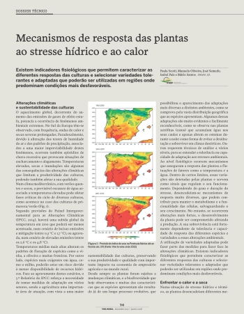 Mecanismos de resposta das plantas ao stresse hídrico e ao ... Imagem 1