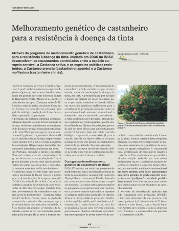 Melhoramento genético de castanheiro para a resistência à ... Imagem 1