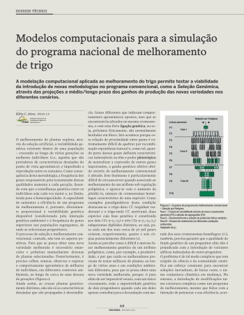 Modelos computacionais para a simulação do programa ... Imagem 1