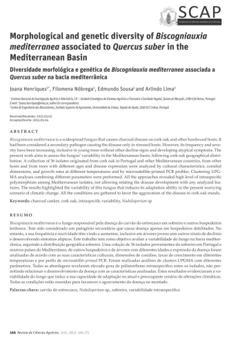 Diversidade morfológica e genética de Biscogniauxia ... Imagem 1