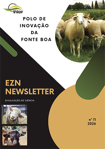 EZN – NEWSLETTER Nº 11 Imagem 1