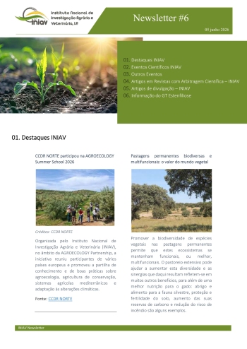 INIAV - Newsletter Externa nº 06/2026 Imagem 1