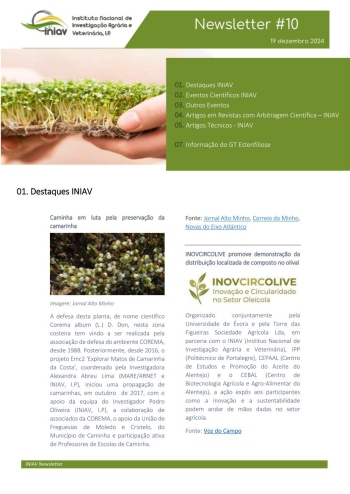 INIAV - Newsletter Externa nº 10/2024 Imagem 1