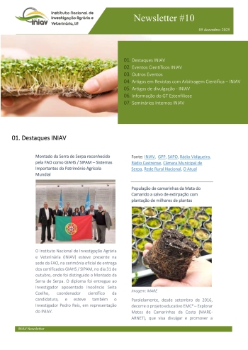 INIAV - Newsletter Externa nº 10/2025 Imagem 1
