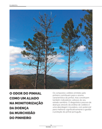 O ODOR DO PINHAL COMO UM ALIADO NA MONITORIZAÇÃO DA DOENÇA ... Imagem 1