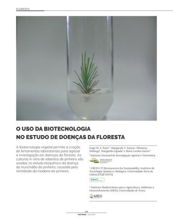 O USO DA BIOTECNOLOGIA NO ESTUDO DE DOENÇAS DA FLORESTA Imagem 1