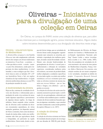 Oliveiras – Iniciativas para a divulgação de uma coleção em ... Imagem 1