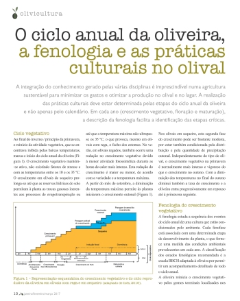 O ciclo anual da oliveira, a fenologia e as práticas ... Imagem 1
