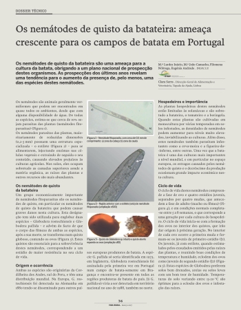 Os nemátodes de quisto da batateira: ameaça crescente para ... Imagem 1