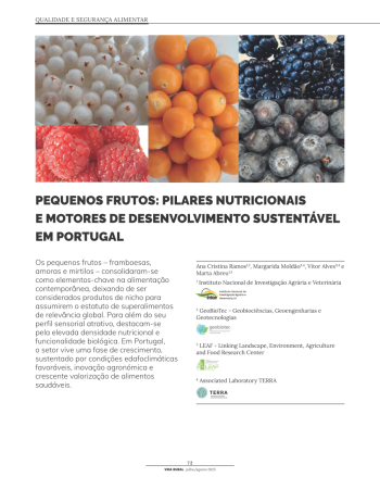 PEQUENOS FRUTOS: PILARES NUTRICIONAIS E MOTORES DE ... Imagem 1