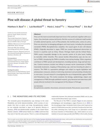 Pine wilt disease: A global threat to forestry Imagem 1