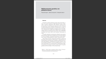 Pinheiro-bravo Nº13 Imagem 1