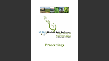 Pinheiro-manso Nº16 Imagem 1