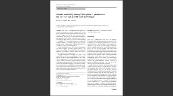 Pinheiro-manso Nº9 Imagem 1