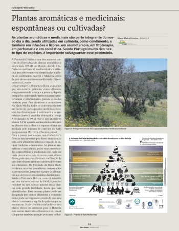 Plantas aromáticas e medicinais: espontâneas ou cultivadas? Imagem 1