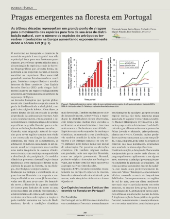 Pragas emergentes na floresta em Portugal Imagem 1