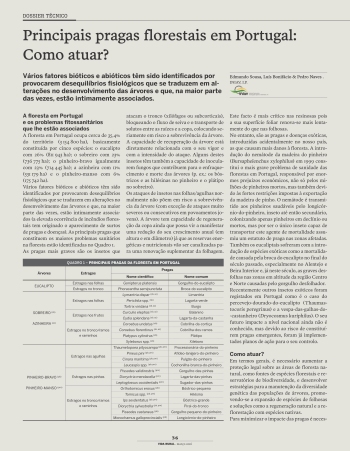 Principais pragas florestais em Portugal: Como atuar? Imagem 1