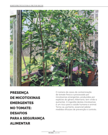 PRESENÇA DE MICOTOXINAS EMERGENTES NO TOMATE: DESAFIOS PARA ... Imagem 1