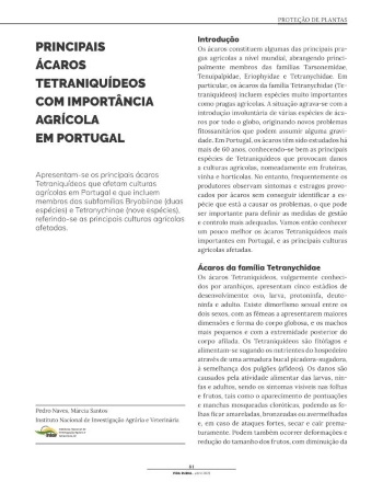 PRINCIPAIS ÁCAROS TETRANIQUÍDEOS COM IMPORTÂNCIA AGRÍCOLA ... Imagem 1