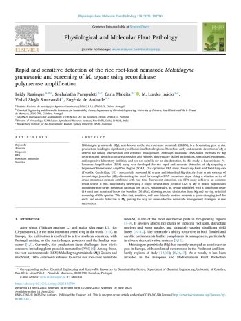 Rapid and sensitive detection of the rice root-knot ... Imagem 1