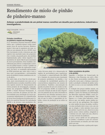 Rendimento de miolo de pinhão de pinheiro-manso Imagem 1