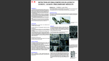 Sobreiro_Parte_II Nº10 Imagem 1