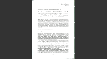 Sobreiro_Parte_II Nº11 Imagem 1