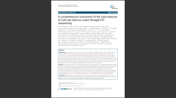 Sobreiro_Parte_II Nº15 Imagem 1