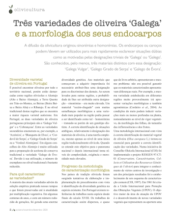 Três variedades de oliveira ‘Galega’ e a morfologia dos ... Imagem 1