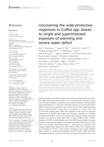 Uncovering the wide protective responses in Coffea spp. ... Imagem 1