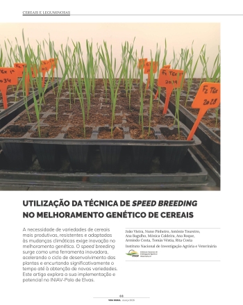 UTILIZAÇÃO DA TÉCNICA DE SPEED BREEDING NO MELHORAMENTO ... Imagem 1