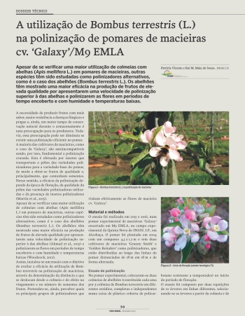 A utilização de Bombus terrestris (L.) na polinização de ... Imagem 1