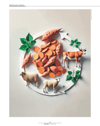UTILIZAÇÃO DE COPRODUTOS DA PRODUÇÃO DE BATATA-DOCE NA ... Imagem 1