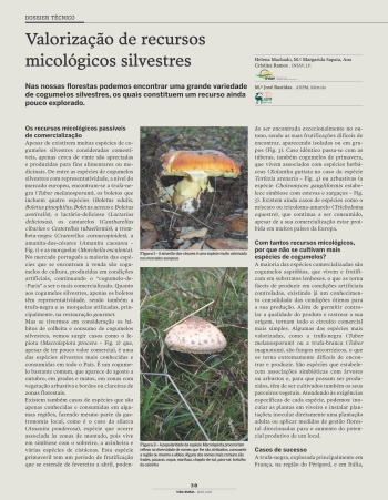 Valorização de recursos micológicos silvestres Imagem 1