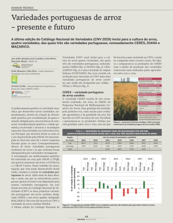 Variedades portuguesas de arroz – presente e futuro Imagem 1