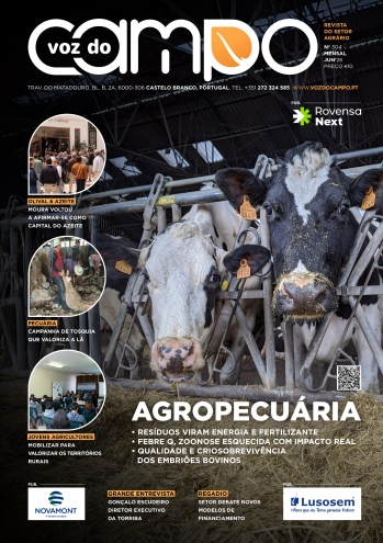 Uma análise empírica das prioridades dos cidadãos e da ... Imagem 1