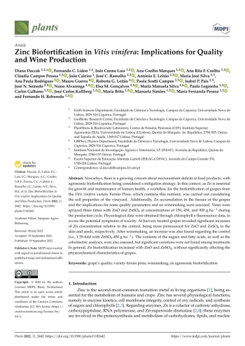 Zinc Biofortification in Vitis vinifera: Implications for ... Imagem 1
