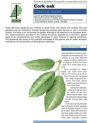 Cork Oak - Technical guidelines for genetic conservation ... Imagem 1