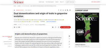 Dual domestications and origin of traits in grapevine ... Imagem 1
