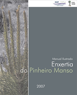 Manual Ilustrado - Enxertia do Pinheiro Manso Imagem 1