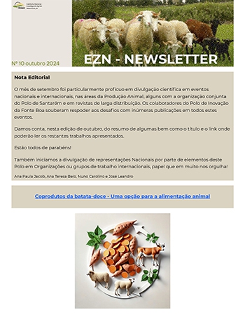 EZN – NEWSLETTER Nº 10 Imagem 1