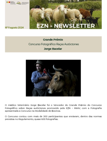 EZN – NEWSLETTER Nº 9 Imagem 1