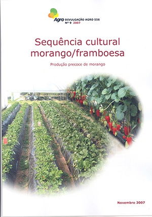 Sequência Cultural Morango Framboesa - Produção Precoce de ... Imagem 1