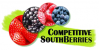 Competitive SouthBerries - Pequenos frutos competitivos e su ... Imagem 1