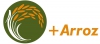 GO +ARROZ: Sustentabilidade do agro-ecossistema arrozal naci ... Imagem 1