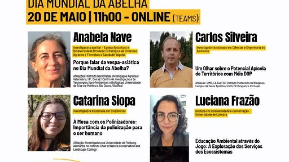 Webinar 