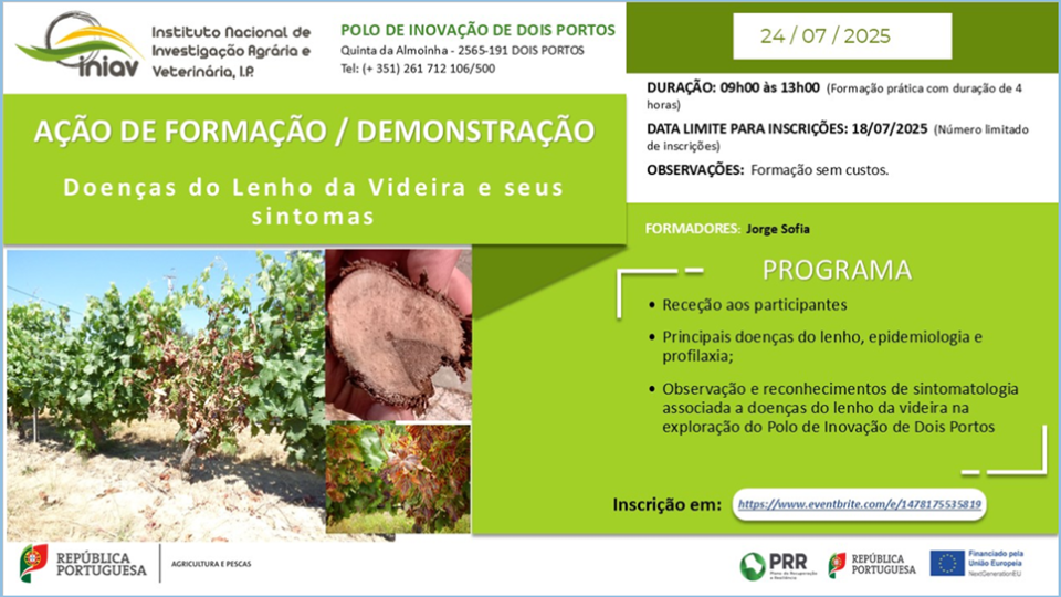 Ação de Formação/Demonstração 