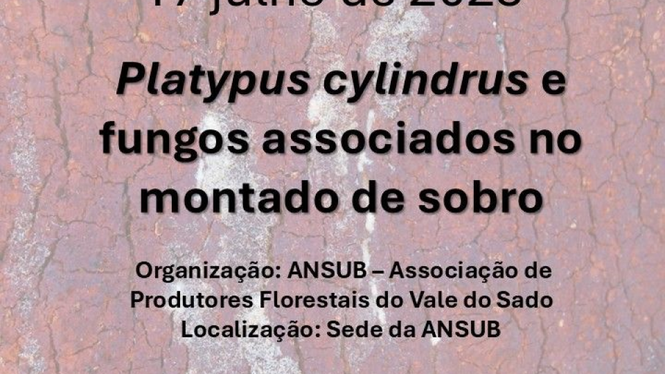 Sessão de Sensibilização 